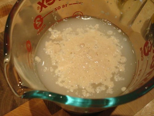 Foaming Yeast