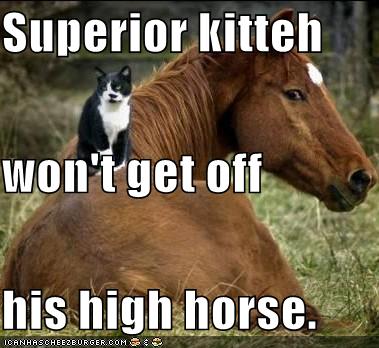 funny horse videos. Funny Horse Pictures