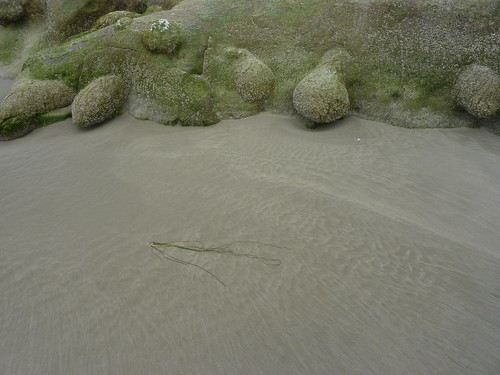 Sand and rocks