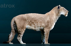 Panthera atrox by Sergiodlarosa