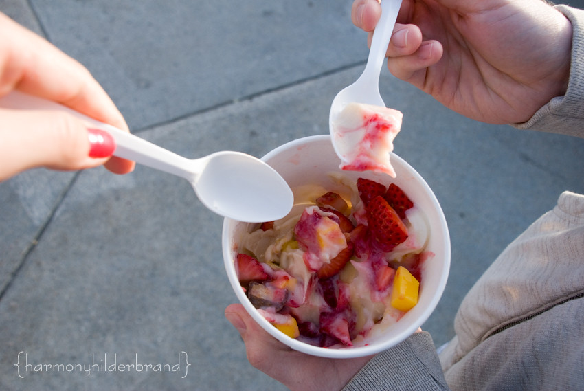 frozen yogurt [blog]