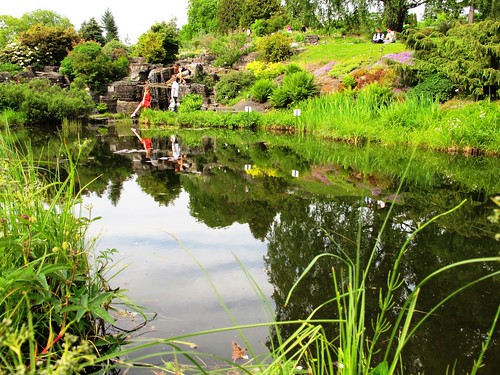 Oslo Botanical Garden in Norway #1