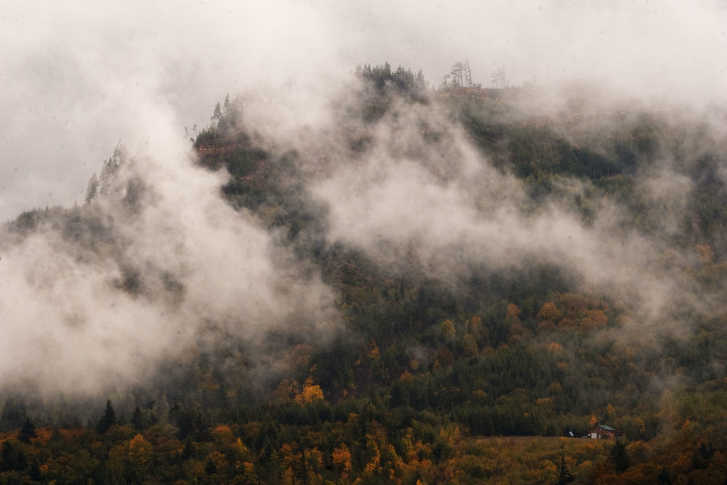Fall colors, Skagit valley, WA
