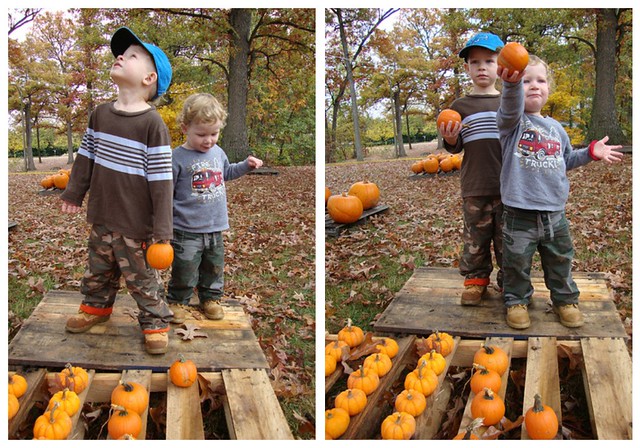 Pumpkin collage 2009