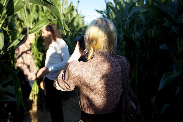 corn maze photos
