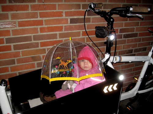 Lulu Bicycle Brolley 2