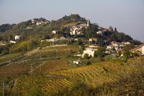 Monferrato Hills
