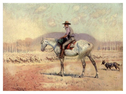 014-Con el ganado de ovejas-Australia (1910)-Percy F. Spence