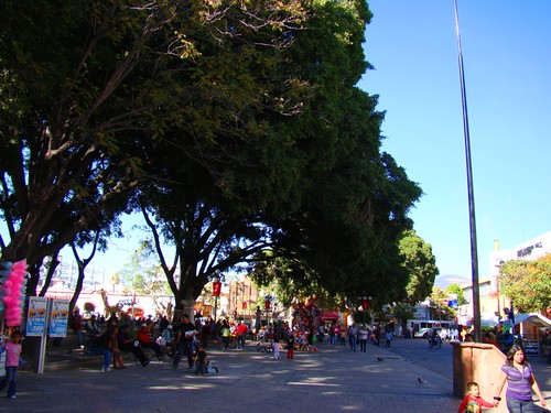 Parque de Tehuacán, Pue. (5)