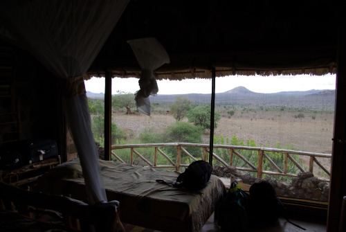 Ngulia Safari Camp, Tsavo West National park, Kenya