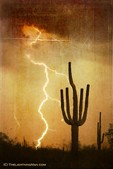 Saguaro Lightning storm V