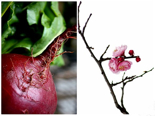 Beet and Blossom Duo
