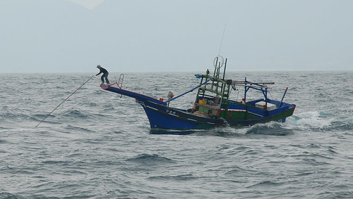 漁船(新允利)鏢52公斤紅肉旗魚_1.JPG