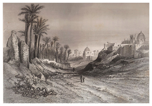 014-Elche-Voyage pittoresque en Espagne et en Portugal 1852- Emile Bégin