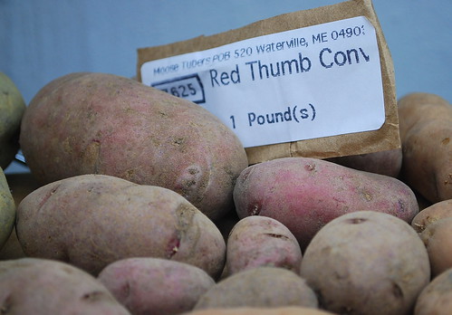 Red Thumb Seed Potatoes