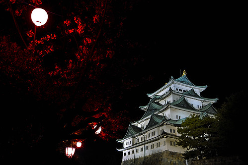 フリー写真素材|建築・建造物|宮殿・城|夜景|日本|愛知県|