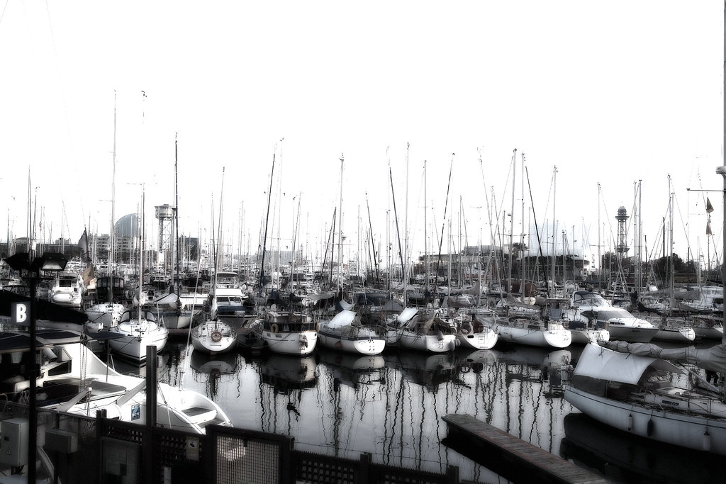 : Morning in Port