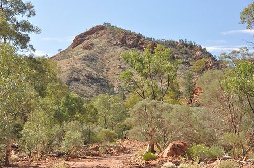 approaching mount gee from the ridgetop tour