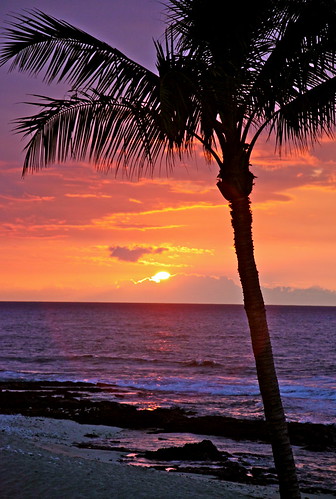  フリー写真素材, 自然・風景, 海, 夕日・夕焼け・日没, 樹木, ビーチ・砂浜, やしの木, ハワイ州,  