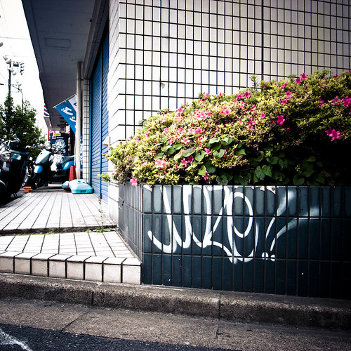 Moze Tag, Wall, Kasai Tokyo