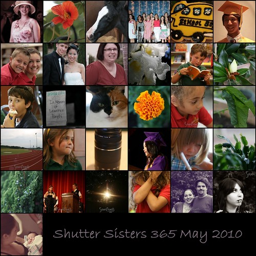 Shutter Sisters 365 May 2010 Mosaic-1