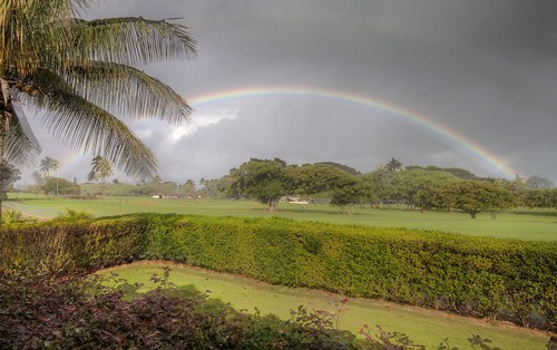Rainbow Maui