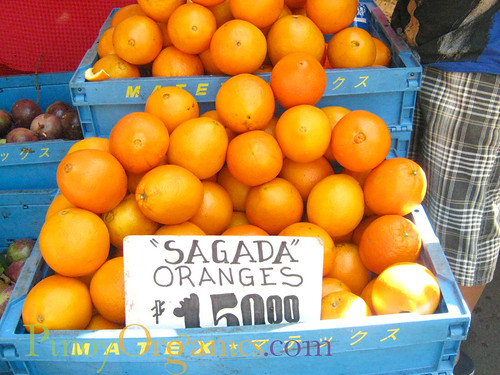 Salcedo Market-Sagada oranges