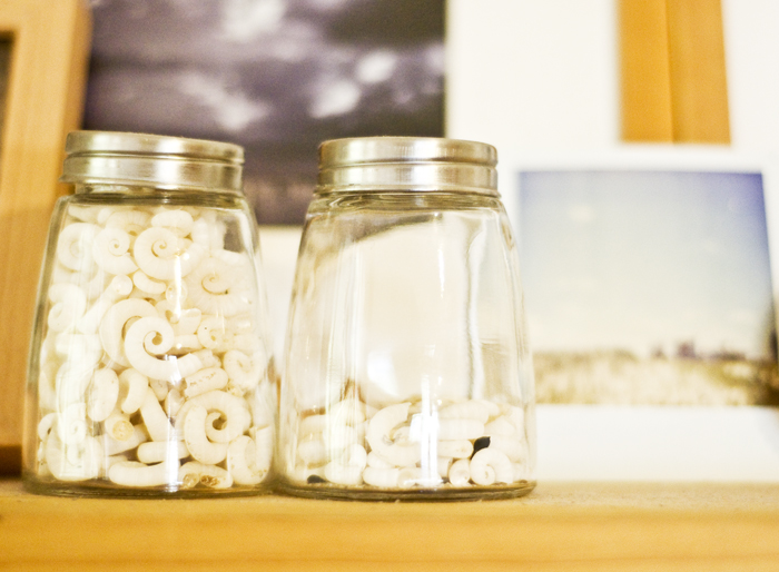 shells in a jar