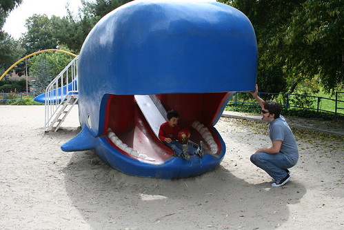 whale slide