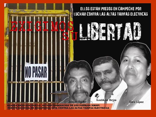 cartel libertad presos de campeche