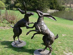 Boxing Hares (Kate Denton)