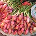 Allium sp. (Onions) in markets in La Paz