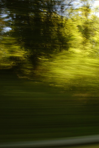 everything a blur of green