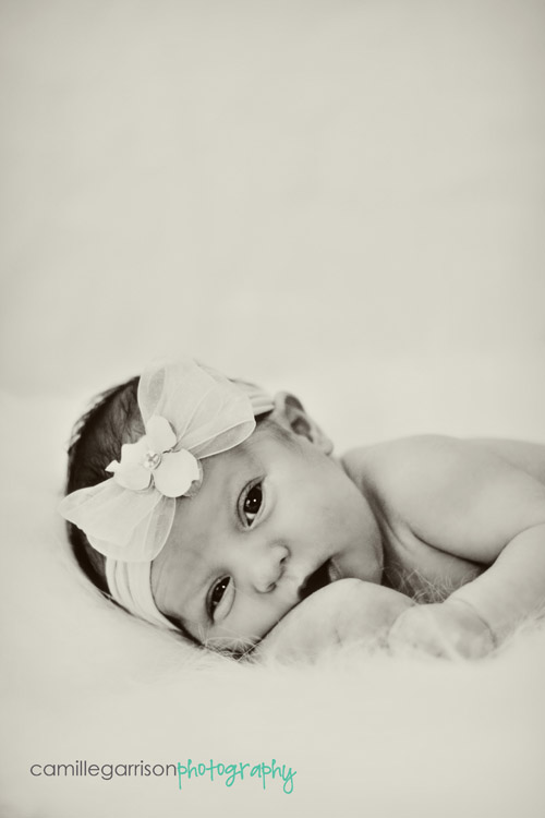 Utah California Newborn Baby Photographer