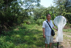 標放高手謝昀樹，卓清波攝。台灣蝴蝶保育學會提供。