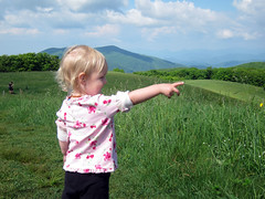 ena at max patch