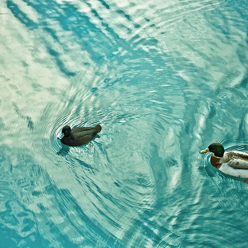 Water Ripples by ►CubaGallery