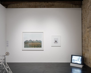 Gallery 8 – Stuart Whipps