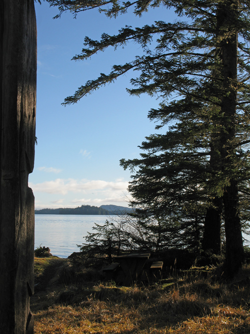 a view of Kasaan Bay between a totem and trees, Kasaan, Alaska