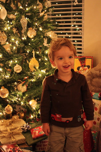 Brady &amp; the Christmas Tree