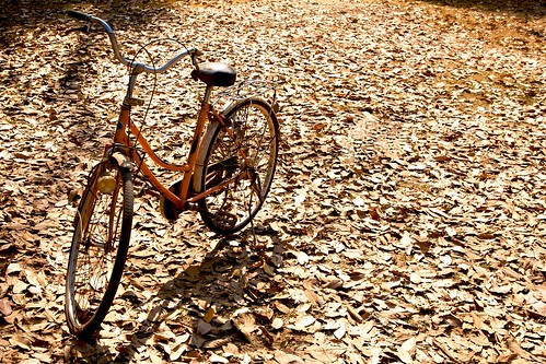 Vintage bike in the autumn leaves