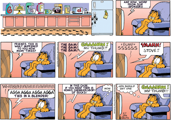 Garfield: Lost in Translation, February 7, 2010
