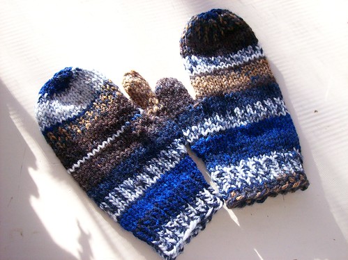 chocolate dipped blueberry mitts