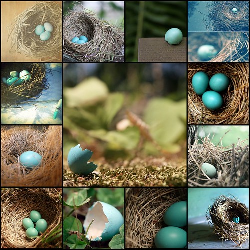 [Things I ♥ Thursday]  Blue robin eggs