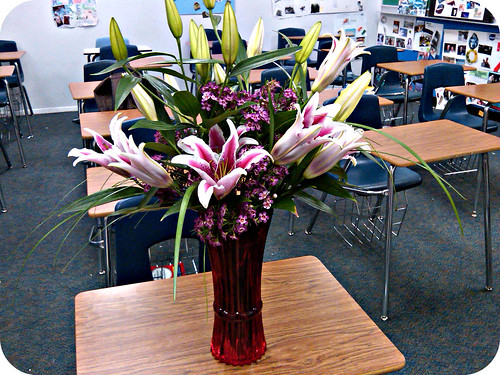 surprise lilies at work! <33