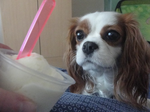 izzie's first icecream