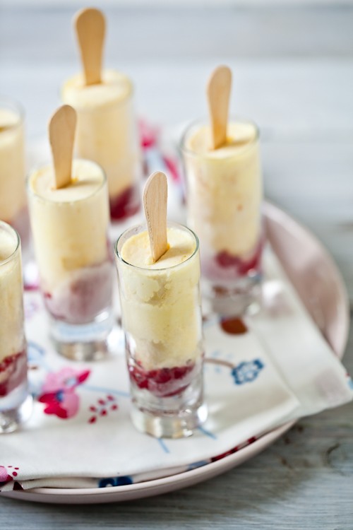 Faisselle Ice Cream & Raspberry Popsicles
