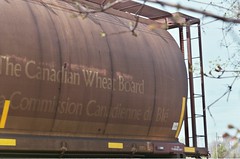 canadian wheat board car