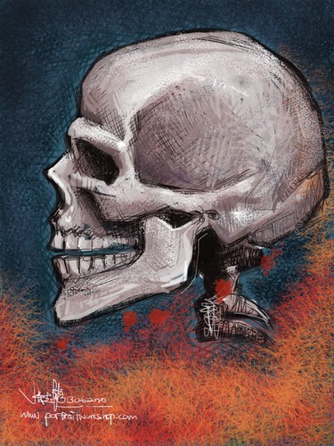 Skull study 2 - brushes