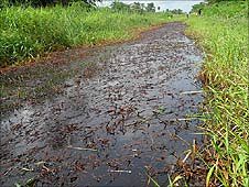 Oil spills in the West African nation of Nigera are frequent and extremely damaging to the national economy. by Pan-African News Wire File Photos